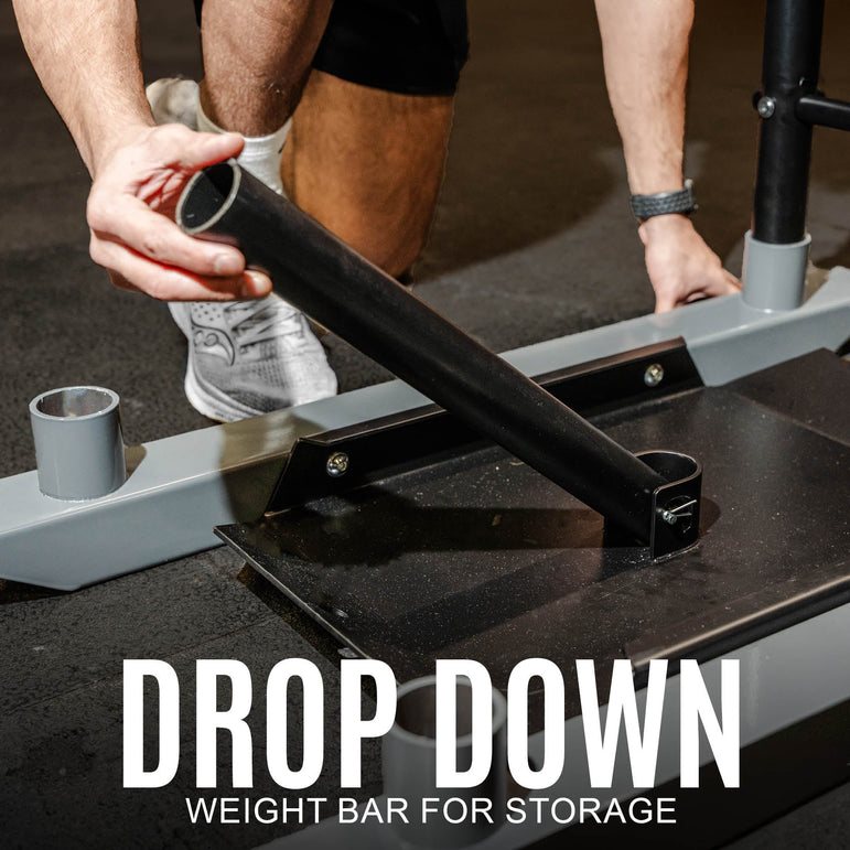 Push-Pull Power Sled System